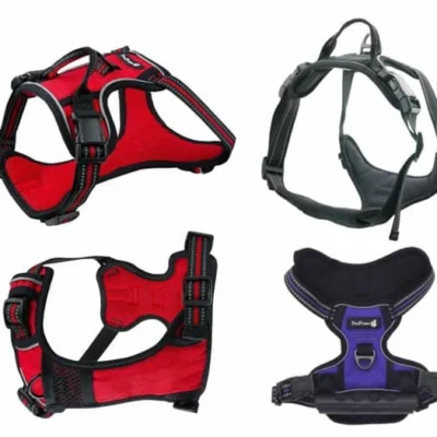 רתמה פרפקט לכלב PERFECT - M
